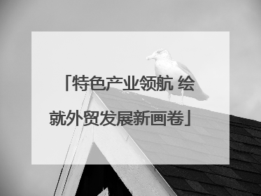 特色产业领航 绘就外贸发展新画卷