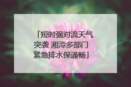 短时强对流天气突袭 湘潭多部门紧急排水保通畅