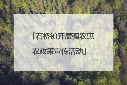 石桥镇开展强农惠农政策宣传活动