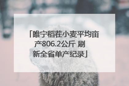 睢宁稻茬小麦平均亩产806.2公斤 刷新全省单产纪录