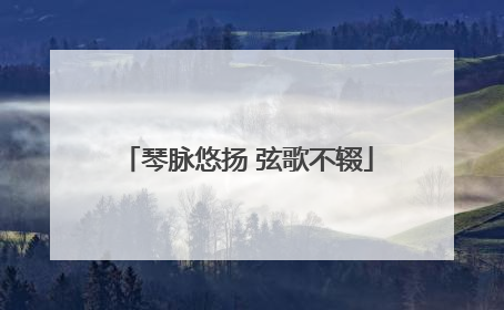 琴脉悠扬 弦歌不辍