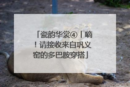 瓷韵华裳④丨嘀！请接收来自巩义窑的多巴胺穿搭