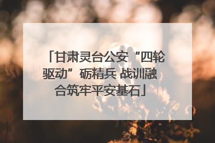 甘肃灵台公安“四轮驱动”砺精兵 战训融合筑牢平安基石