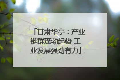 甘肃华亭：产业链群蓬勃起势 工业发展强劲有力