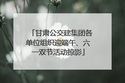 甘肃公交建集团各单位组织迎端午、六一双节活动掠影