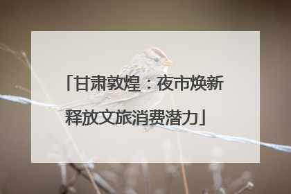 甘肃敦煌：夜市焕新释放文旅消费潜力