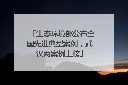 生态环境部公布全国先进典型案例，武汉两案例上榜