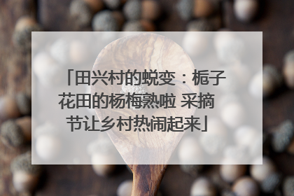 田兴村的蜕变：栀子花田的杨梅熟啦 采摘节让乡村热闹起来