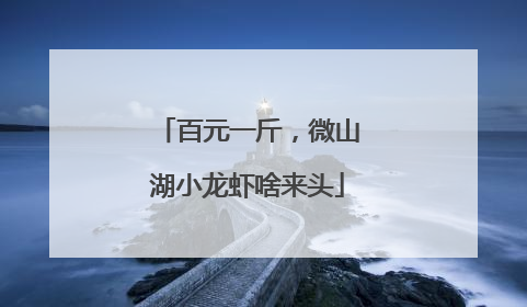 百元一斤，微山湖小龙虾啥来头