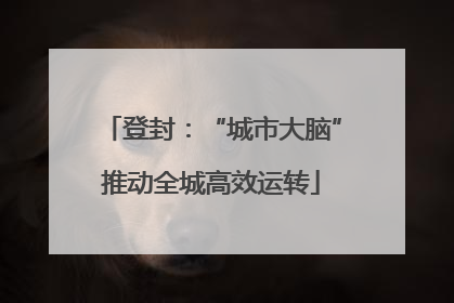 登封：“城市大脑”推动全城高效运转
