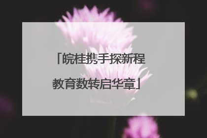 皖桂携手探新程 教育数转启华章