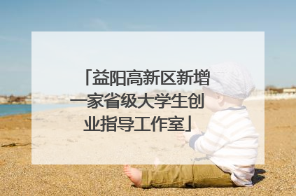 益阳高新区新增一家省级大学生创业指导工作室