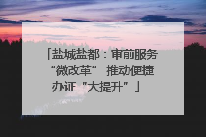 盐城盐都：审前服务“微改革” 推动便捷办证“大提升”
