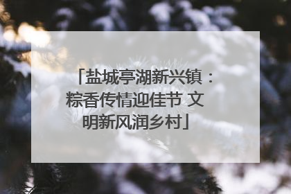 盐城亭湖新兴镇：粽香传情迎佳节 文明新风润乡村