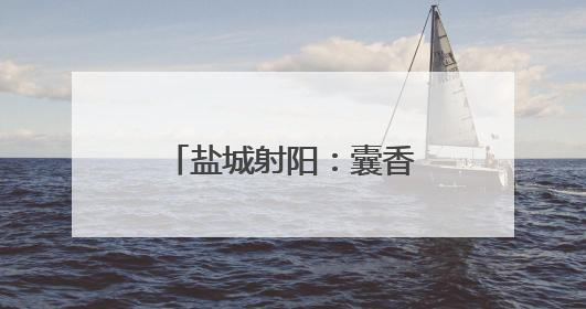 盐城射阳：囊香粽香飘溢校园 传统文化深植心田