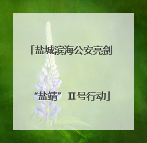 盐城滨海公安亮剑“盐靖”Ⅱ号行动