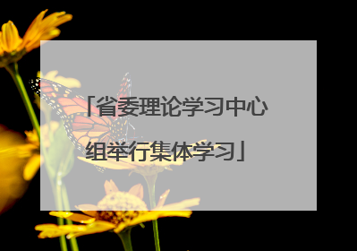 省委理论学习中心组举行集体学习