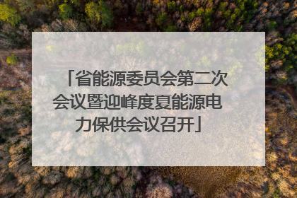 省能源委员会第二次会议暨迎峰度夏能源电力保供会议召开