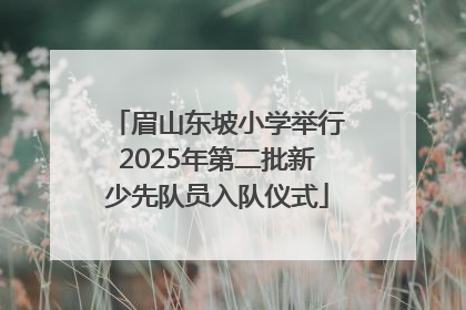 眉山东坡小学举行2025年第二批新少先队员入队仪式