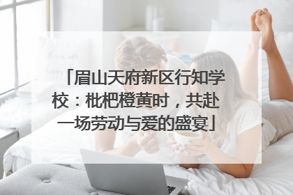 眉山天府新区行知学校：枇杷橙黄时，共赴一场劳动与爱的盛宴