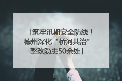 筑牢汛期安全防线！德州深化“桥河共治”整改隐患50余处