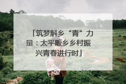 筑梦斛乡“青”力量：太平畈乡乡村振兴青春进行时