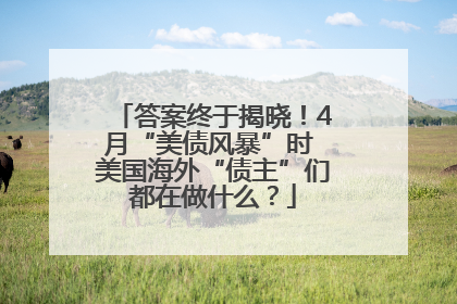 答案终于揭晓！4月“美债风暴”时 美国海外“债主”们都在做什么？