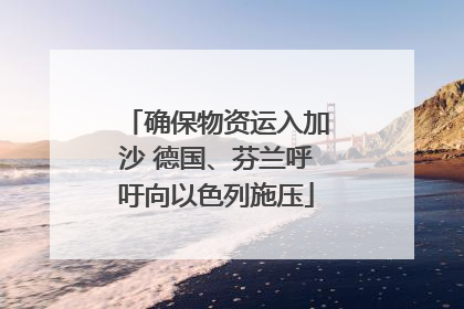 确保物资运入加沙 德国、芬兰呼吁向以色列施压