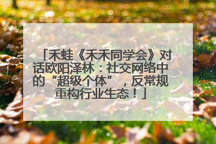 禾蛙《禾禾同学会》对话欧阳泽林：社交网络中的“超级个体”，反常规重构行业生态！