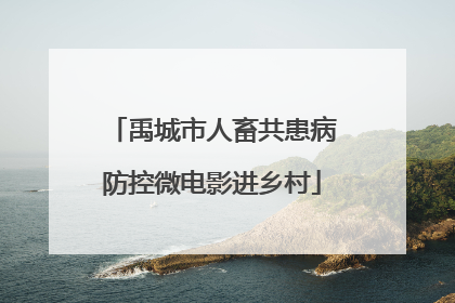 禹城市人畜共患病防控微电影进乡村