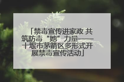 禁毒宣传进家政 共筑防毒“她”力量——十堰市茅箭区多形式开展禁毒宣传活动