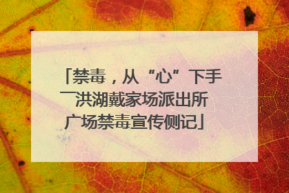 禁毒，从“心”下手――洪湖戴家场派出所广场禁毒宣传侧记