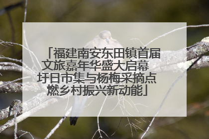 福建南安东田镇首届文旅嘉年华盛大启幕 圩日市集与杨梅采摘点燃乡村振兴新动能