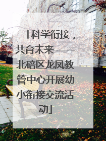 科学衔接，共育未来——北碚区龙凤教管中心开展幼小衔接交流活动