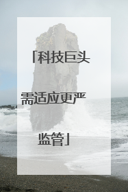 科技巨头需适应更严监管