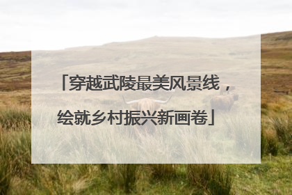 穿越武陵最美风景线，绘就乡村振兴新画卷