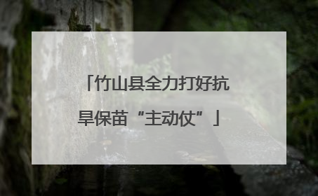 竹山县全力打好抗旱保苗“主动仗”