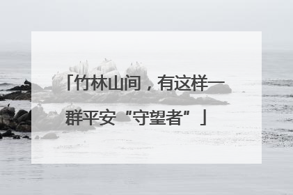 竹林山间，有这样一群平安“守望者”