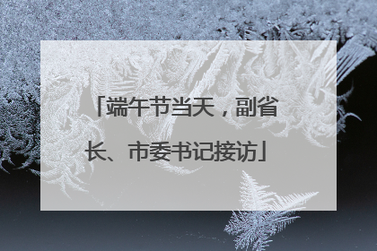 端午节当天，副省长、市委书记接访