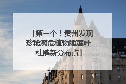 第三个！贵州发现珍稀濒危植物睡莲叶杜鹃新分布点