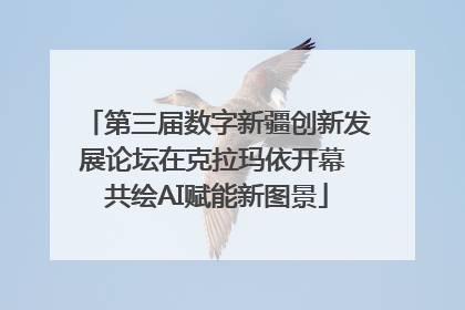 第三届数字新疆创新发展论坛在克拉玛依开幕 共绘AI赋能新图景
