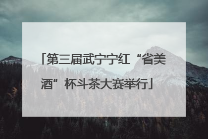 第三届武宁宁红“省美酒”杯斗茶大赛举行