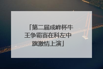 第二届成峰杯牛王争霸赛在科左中旗激情上演