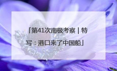 第41次南极考察｜特写：港口来了中国船