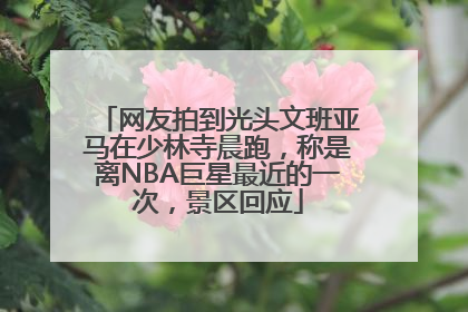 网友拍到光头文班亚马在少林寺晨跑，称是离NBA巨星最近的一次，景区回应