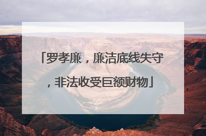 罗孝廉，廉洁底线失守，非法收受巨额财物