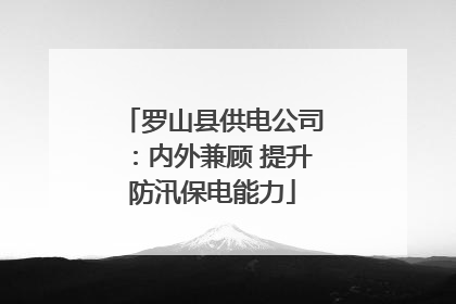 罗山县供电公司：内外兼顾 提升防汛保电能力