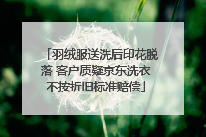 羽绒服送洗后印花脱落 客户质疑京东洗衣不按折旧标准赔偿