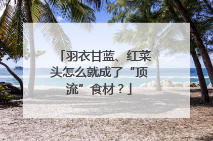 羽衣甘蓝、红菜头怎么就成了“顶流”食材？