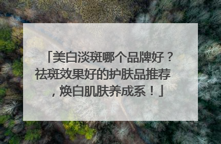 美白淡斑哪个品牌好？祛斑效果好的护肤品推荐，焕白肌肤养成系！